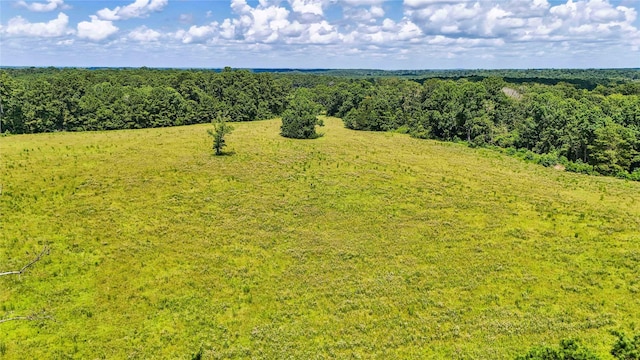 398 County Road 172, Jasper, TX 75951 - photo 4