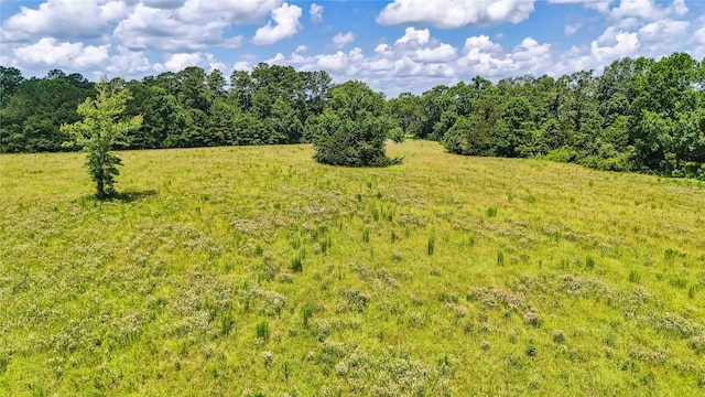 398 County Road 172, Jasper, TX 75951 - photo 37