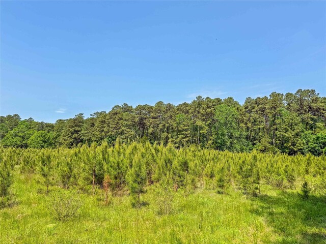 398 County Road 172, Jasper, TX 75951 - photo 22