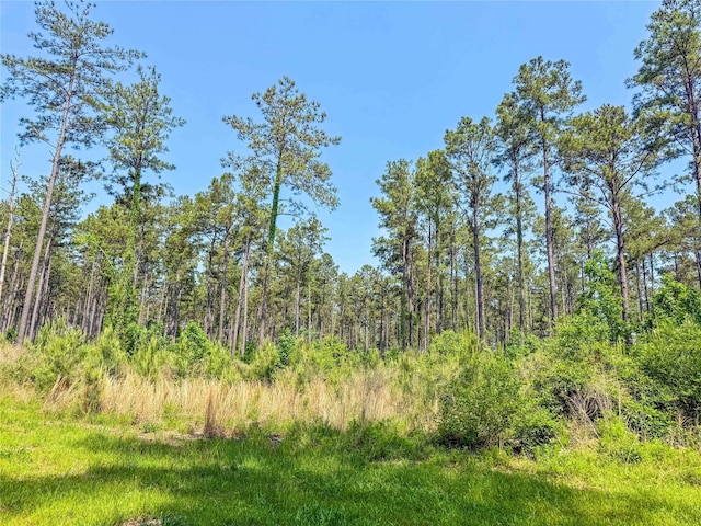 398 County Road 172, Jasper, TX 75951 - photo 19