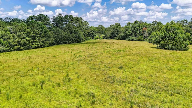 398 County Road 172, Jasper, TX 75951 - photo 38