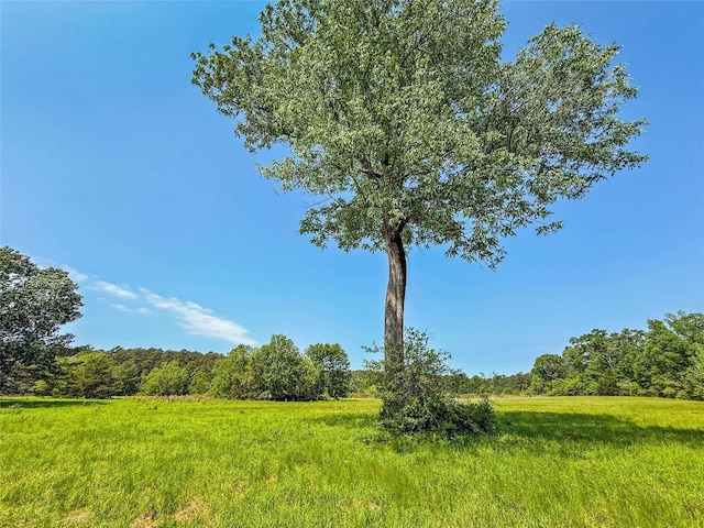 398 County Road 172, Jasper, TX 75951 - photo 18