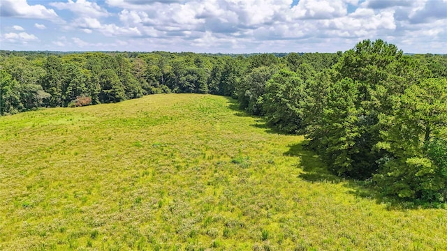 398 County Road 172, Jasper, TX 75951 - photo 43