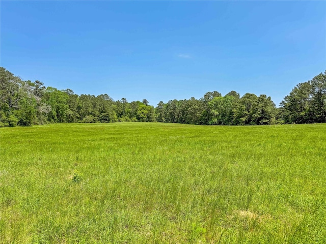 398 County Road 172, Jasper, TX 75951 - photo 6