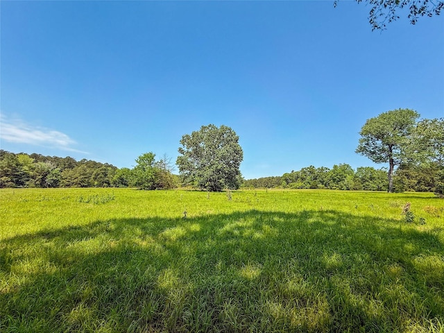 398 County Road 172, Jasper, TX 75951 - photo 12