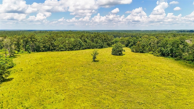398 County Road 172, Jasper, TX 75951 - photo 45