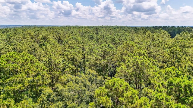 398 County Road 172, Jasper, TX 75951 - photo 36