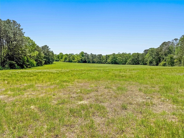 398 County Road 172, Jasper, TX 75951 - photo 8