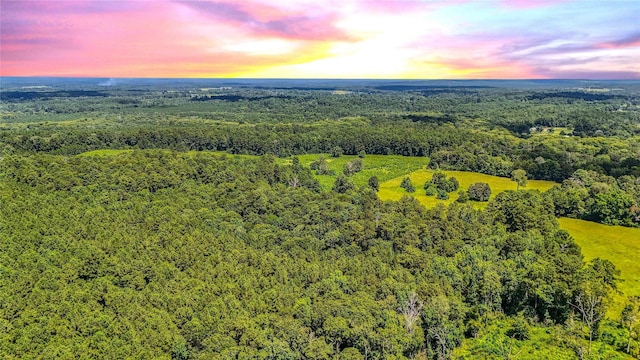 398 County Road 172, Jasper, TX 75951 - photo 49