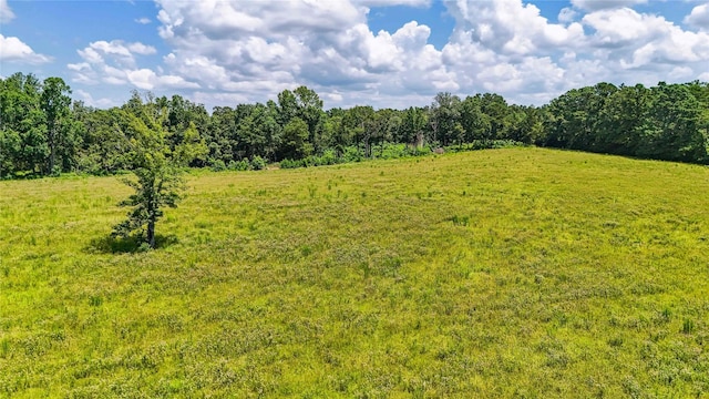 398 County Road 172, Jasper, TX 75951 - photo 39