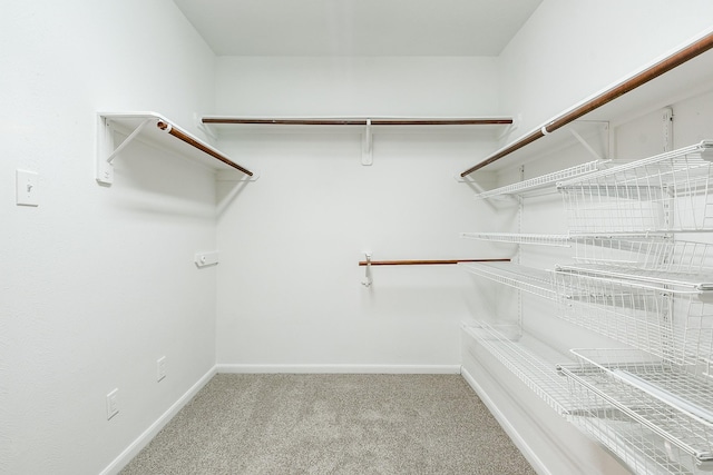 14307 Baron Creek Ln, Houston, TX 77044 - spacious closet with carpet