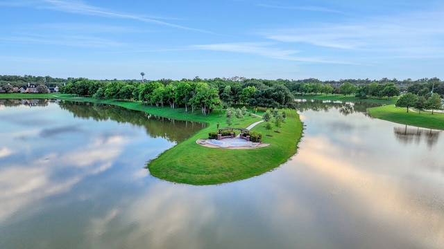 4502 Buffalo Lake Ct, Richmond, TX 77406 - water view