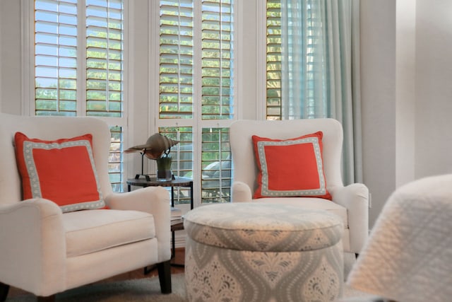4502 Buffalo Lake Ct, Richmond, TX 77406 - sitting room with healthy amount of natural light