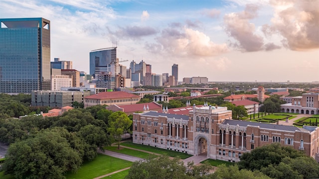 5920 Lake St, Houston, TX 77005 - view of city skyline