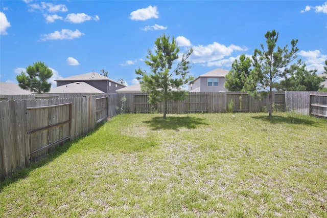 234 Pine Cavern Dr, Willis, TX 77378 - photo 27
