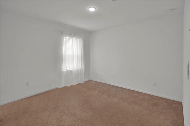 234 Pine Cavern Dr, Willis, TX 77378 - photo 24