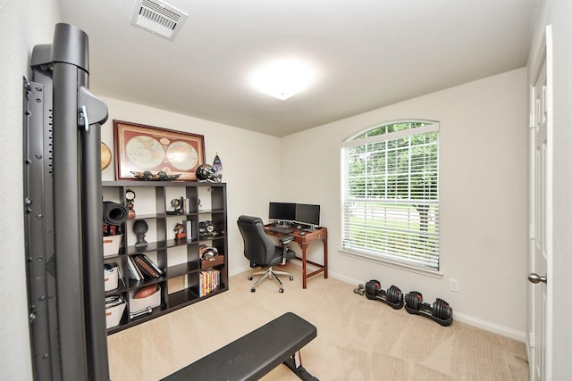 38327 Miranda Ln, Magnolia, TX 77355 - office with carpet flooring and baseboards