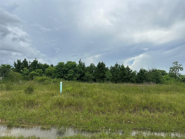 1288 Rd 5735, Cleveland, TX 77327 - photo 2