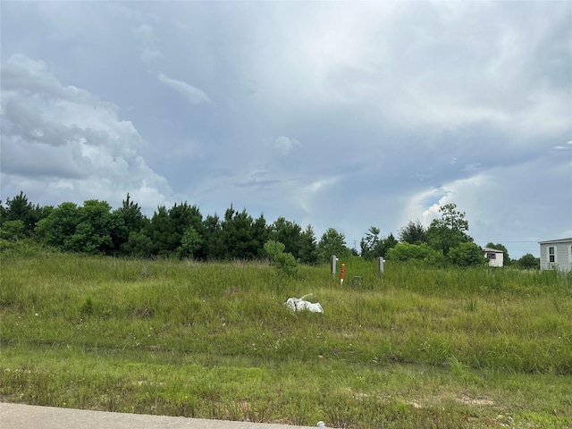 1288 Rd 5735, Cleveland, TX 77327 - photo 5