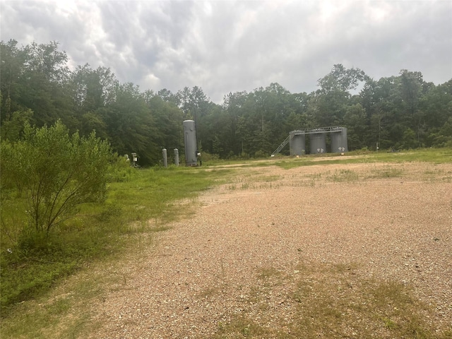 000 Towering Pnes, Livingston, TX 77351