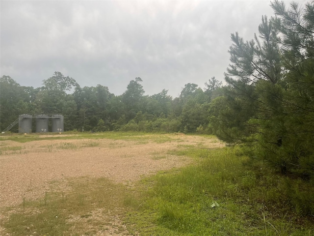 000 Towering Pnes, Livingston, TX 77351