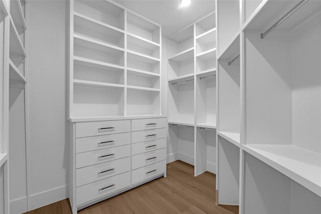 2031 Peppermill Rd, Houston, TX 77080 - spacious closet with light wood-style floors