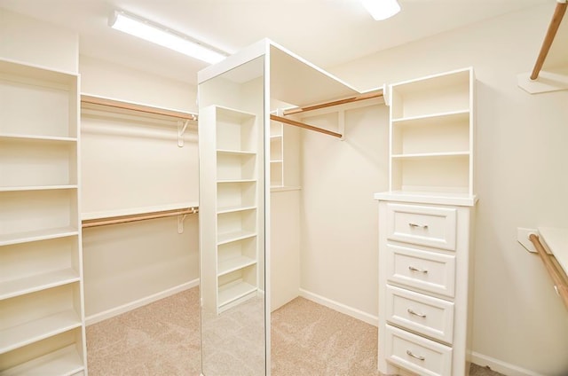 222 Knox St Unit F, Houston, TX 77007 - spacious closet with carpet