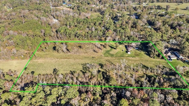 313 Roy Rd, Wallisville, TX 77597 - photo 28