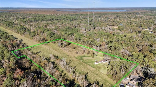313 Roy Rd, Wallisville, TX 77597 - photo 29