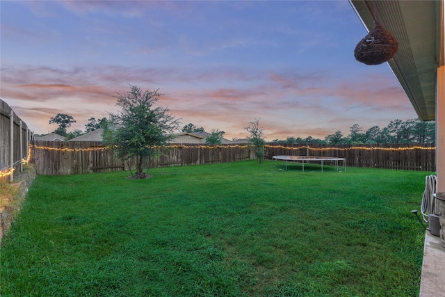 11503 Parrot Fish Ct, Conroe, TX 77304 - fenced backyard with a trampoline