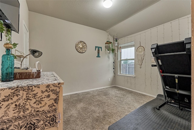 11503 Parrot Fish Ct, Conroe, TX 77304 - workout area featuring carpet flooring and vaulted ceiling