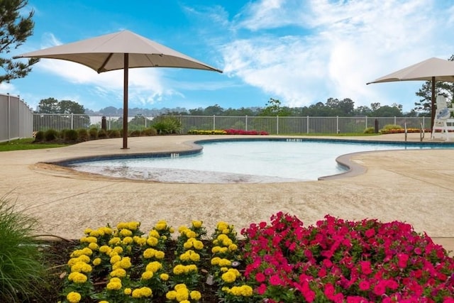 11503 Parrot Fish Ct, Conroe, TX 77304 - view of swimming pool with a patio area