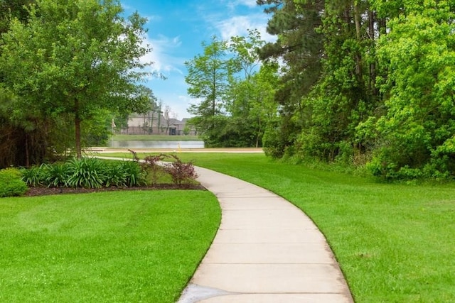 11503 Parrot Fish Ct, Conroe, TX 77304 - view of property's community with a lawn