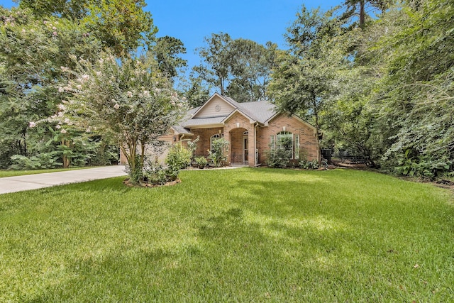 9081 N Comanche Cir, Willis, TX 77378 - photo 4