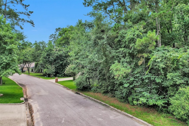9081 N Comanche Cir, Willis, TX 77378 - photo 40