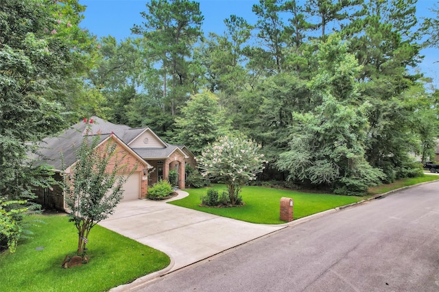 9081 N Comanche Cir, Willis, TX 77378 - photo 50