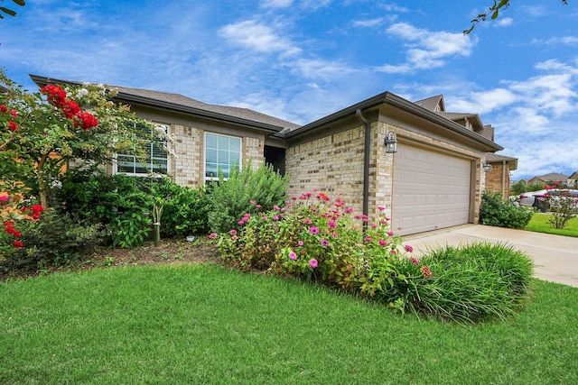 32726 Timber Point Dr, Brookshire, TX 77423 - view of front facade featuring driveway, a front lawn, an attached garage, and brick siding