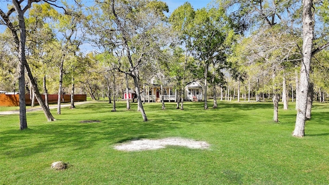 20802 Pecan Bend Rd, Damon, TX 77430 - photo 44