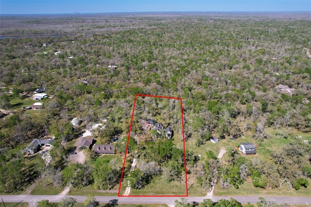 20802 Pecan Bend Rd, Damon, TX 77430 - photo 48