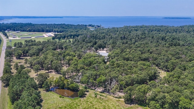 11399 Fm-3126, Livingston, TX 77351 - bird's eye view of a forest and a large body of water