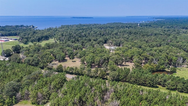 11399 Fm-3126, Livingston, TX 77351 - drone / aerial view of a forest and a large body of water