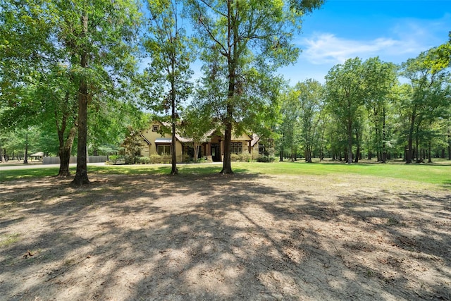 11399 Fm-3126, Livingston, TX 77351 - view of yard