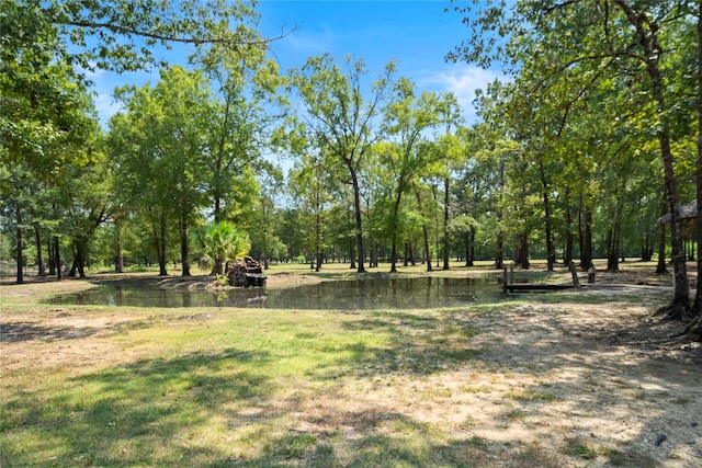 11399 Fm-3126, Livingston, TX 77351 - view of yard featuring a water view