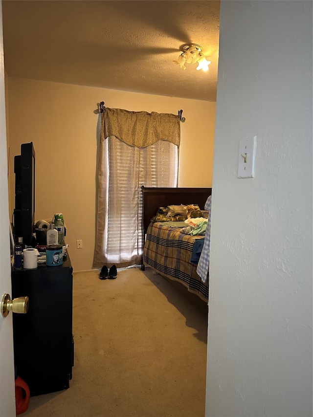 16203 Rapidcreek Dr, Houston, TX 77053 - photo 10