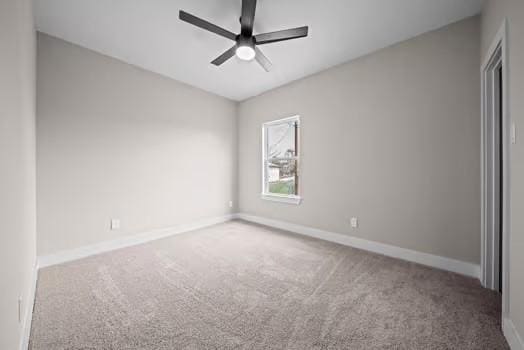 8015 Venus St, Houston, TX 77088 - photo 19