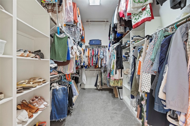 27410 Villa Mountain Ct, Fulshear, TX 77441 - walk in closet with carpet flooring