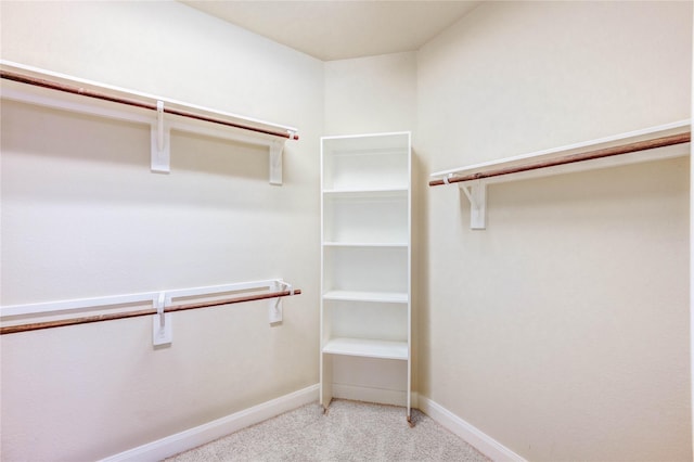 4927 Caponi Falls Ln, Katy, TX 77494 - spacious closet with carpet floors