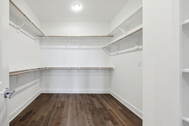 1609 Roy St, Houston, TX 77007 - walk in closet with dark wood-style flooring