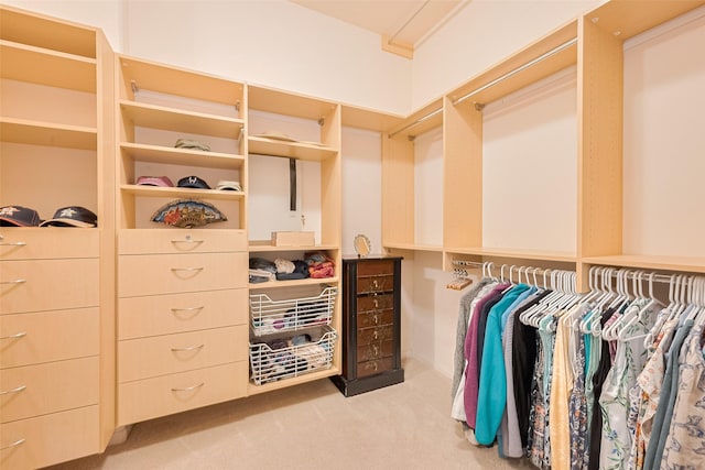 8812 Snowy Owl Loop, Missouri City, TX 77459 - walk in closet featuring light carpet