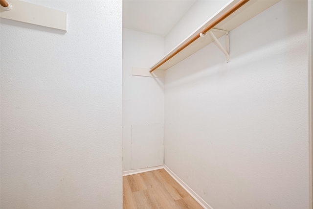 19718 Franz Rd, Houston, TX 77084 - walk in closet with light wood-style flooring